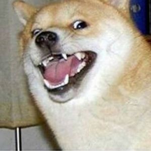 Meet your Posher, Brenden